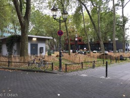 Pflanzaktion. Yitzhak Rabin Platz in Köln.