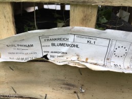 Yitzhak Rabin Platz in Köln