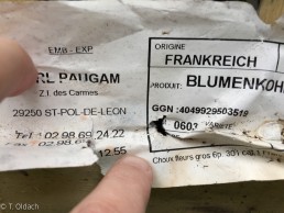 Yitzhak Rabin Platz in Köln